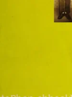 Book cover: The Perks of Being a Wallflower by Stephen Chbosky (1999)