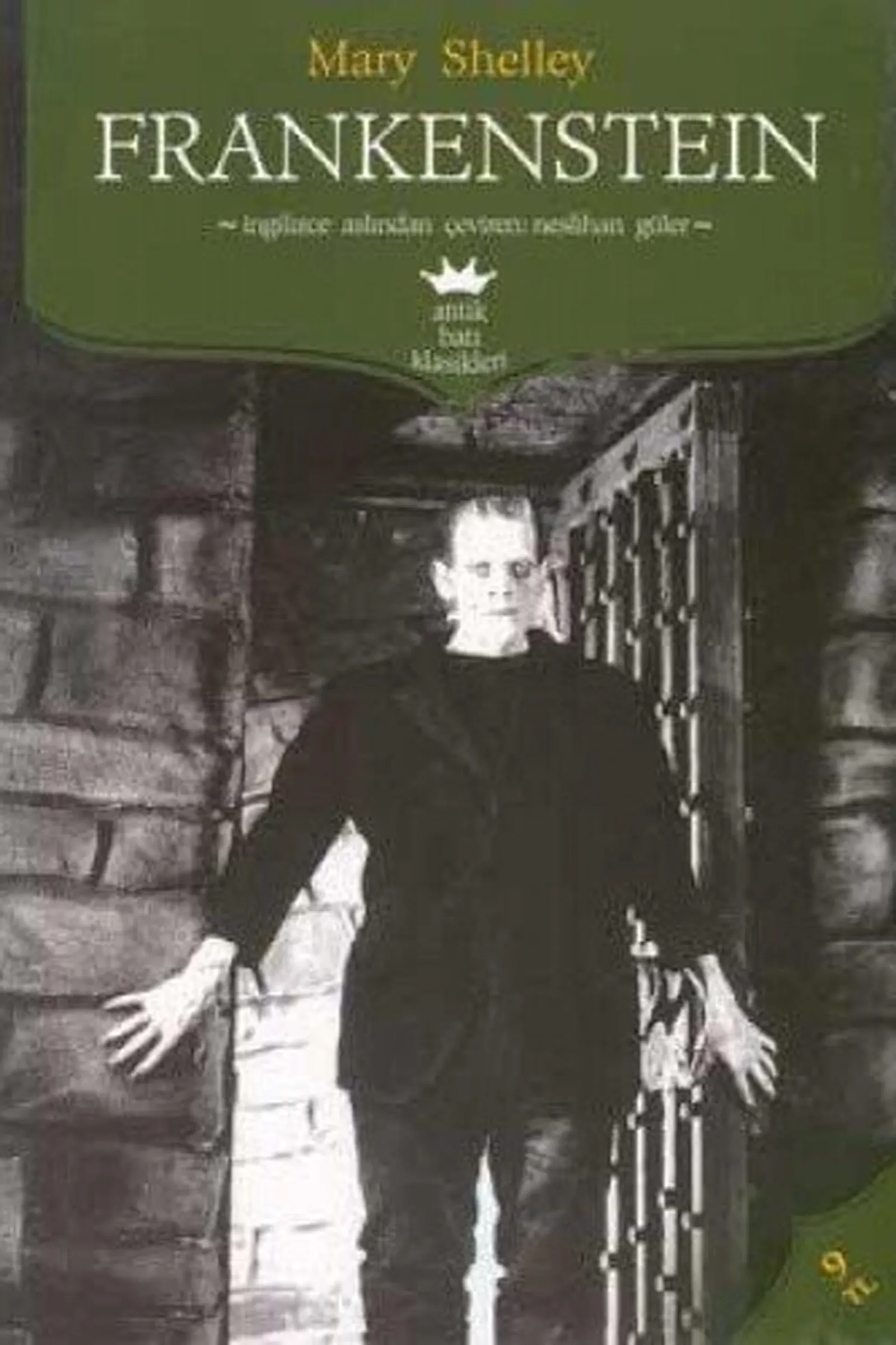 Book cover: Frankenstein by Mary Shelley (1818)